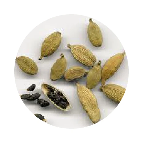EXTRAIT AROMATIQUE (HYDROLAT) DE CARDAMOME